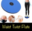 Picture of Waist Twist Plate 